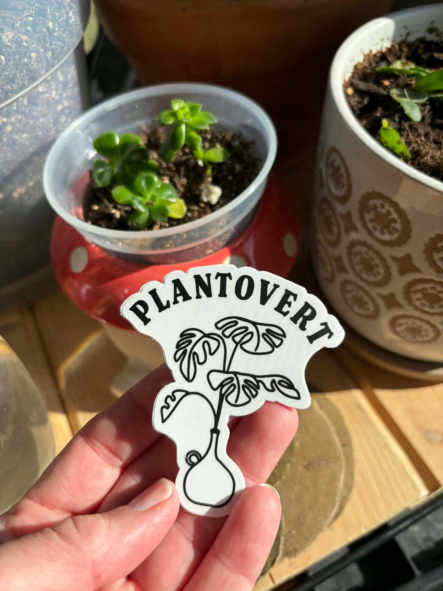 Plantovert
