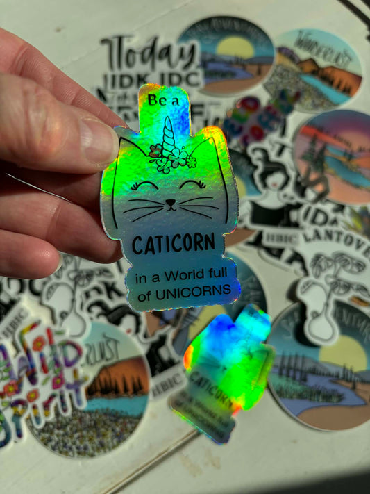 Be a Caticorn in a World full of Unicorns